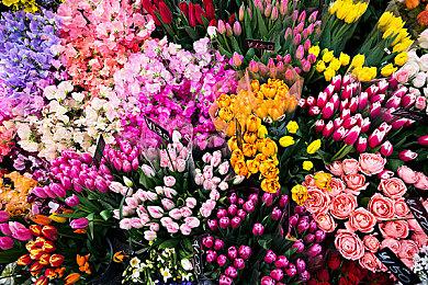 拯救超级儿童！《绝地潜兵2》开启慈善拍卖活动